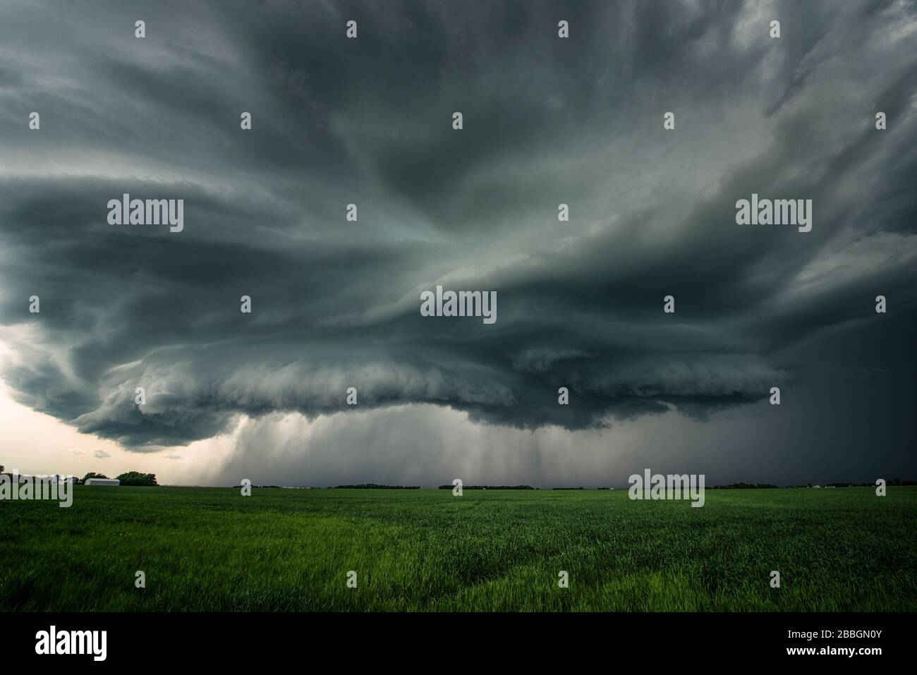 Sturm bildet eine Regalwolke über dem Feld im Süden Manitobas Kanadas Stockfoto