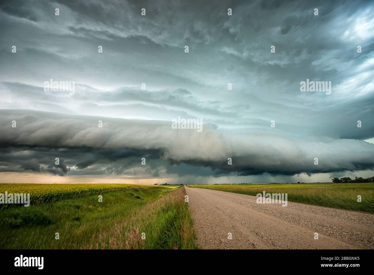 Stürmen Sie mit Mesocyclon über ein Rapsfeld und eine Schotterstraße im Süden Saskatchewans Kanadas Stockfoto