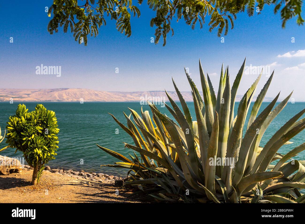 Blick auf den See Genezareth von der biblischen Stätte Capernaum, Galiläa, Israel, Naher Osten. Stockfoto