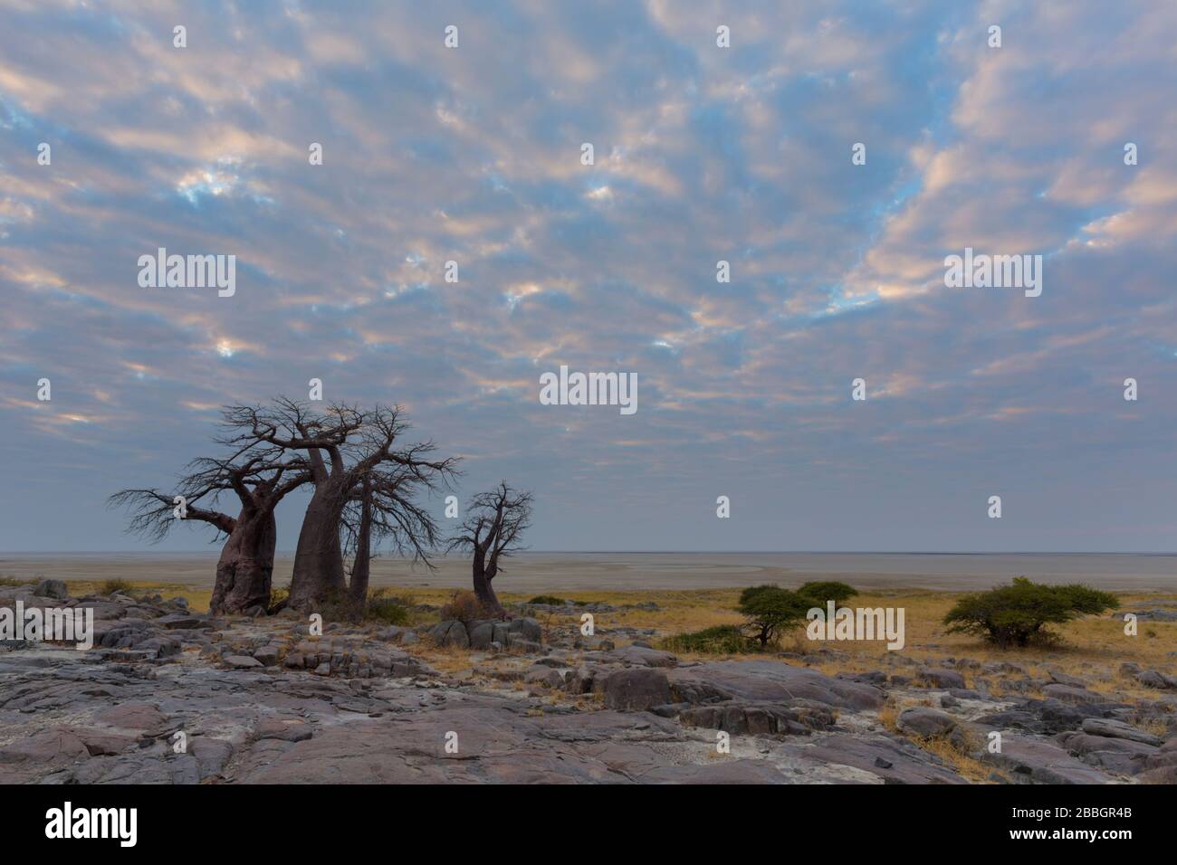 Wolken vor Sonnenaufgang auf der Kubu-Insel Stockfoto