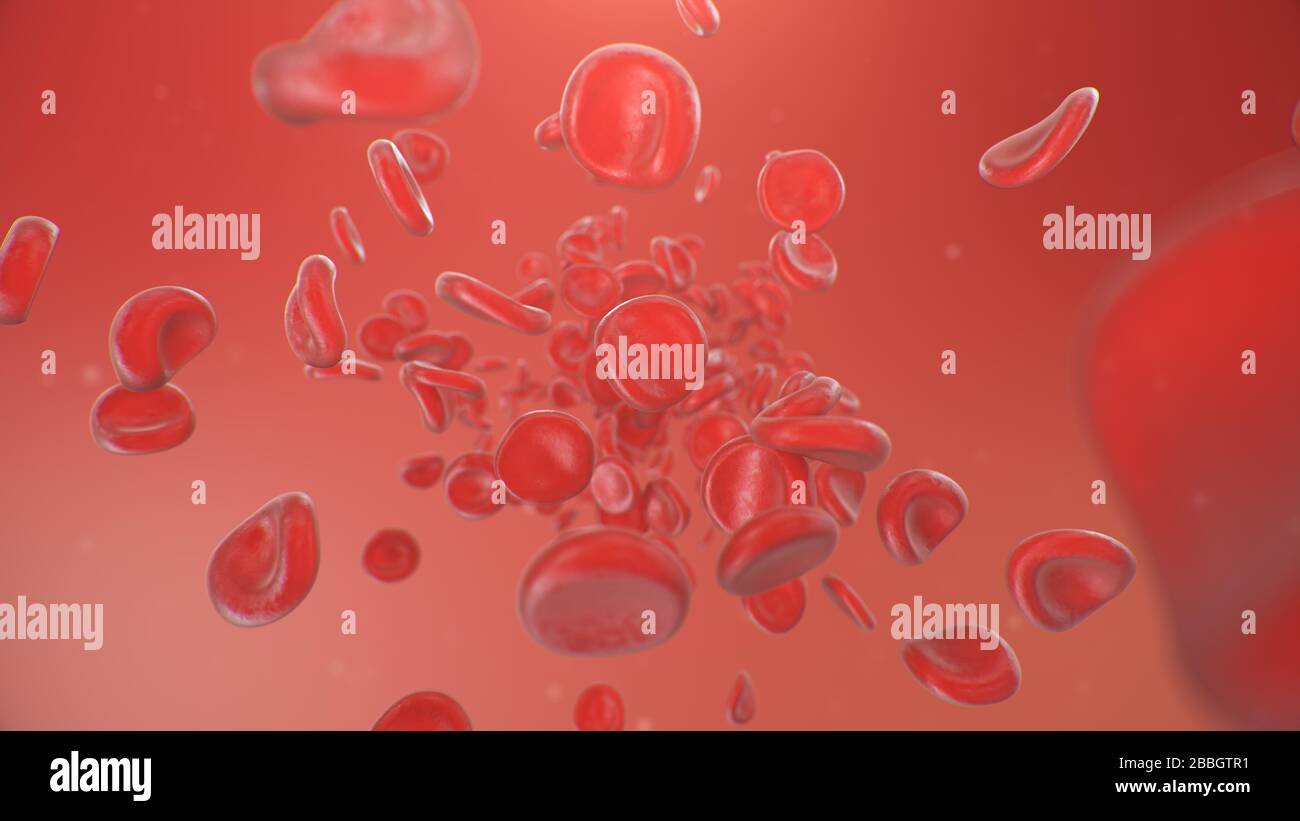 Abstrakter Hintergrund 3D-Darstellung roter Blutkörperchen. Der Blutfluss in einem lebenden Organismus. Wissenschaftliches und medizinisches mikrobiologisches Konzept Stockfoto