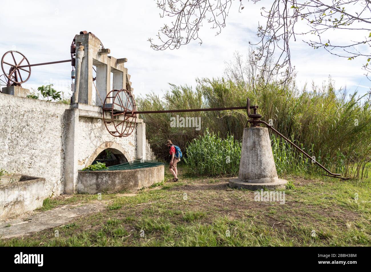 Eine Noria oder Nora, ein Gerät mit Pferdeantrieb, das aus arabischem Design stammt, um Wasser aus einem Brunnen zu ziehen, Quinta de Marim, Naturpark Ria Formosa, Algarve, Portuga Stockfoto