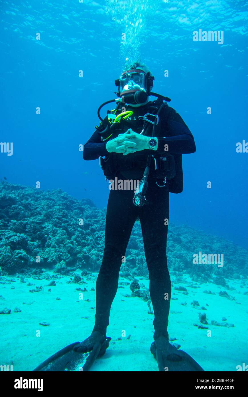 Scuba Diver Stockfoto