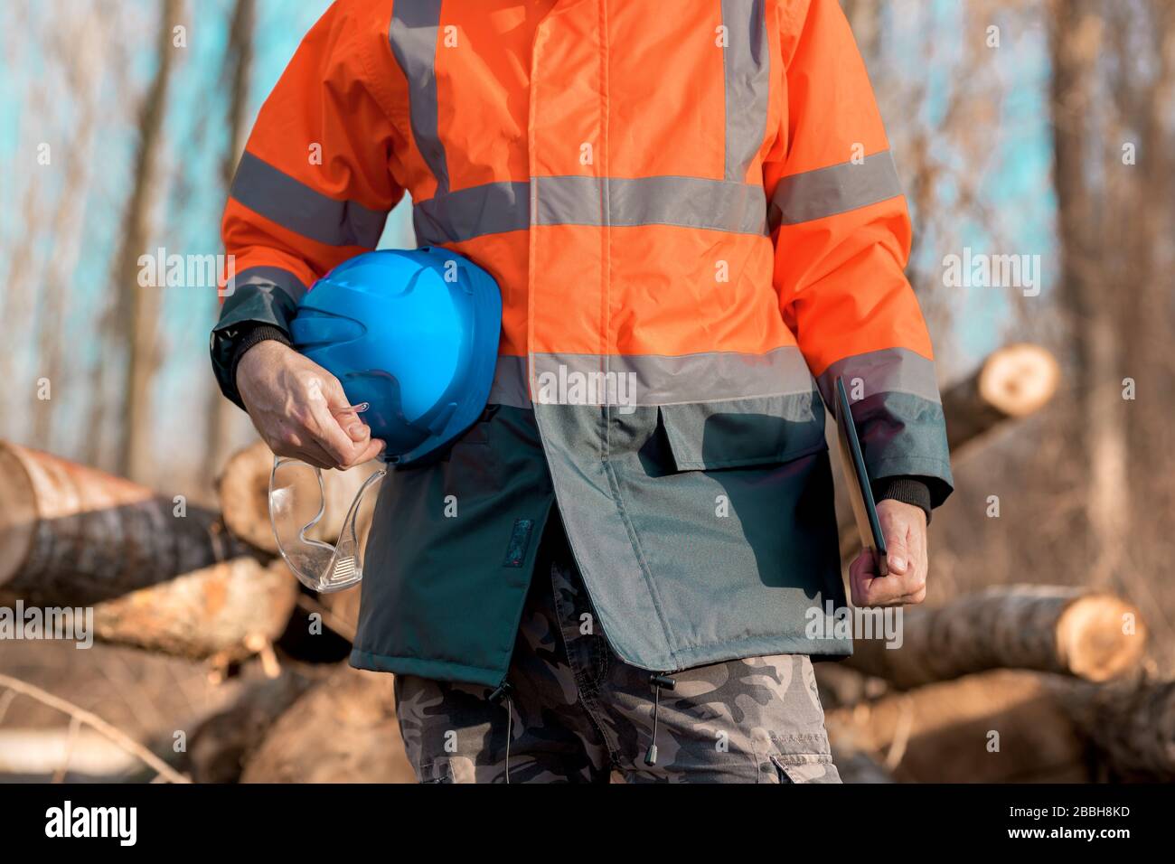 Forsttechniker, der einen digitalen Tablet-Computer in der Waldstruktur verwendet, um während der Entwaldung Daten zu erfassen Stockfoto