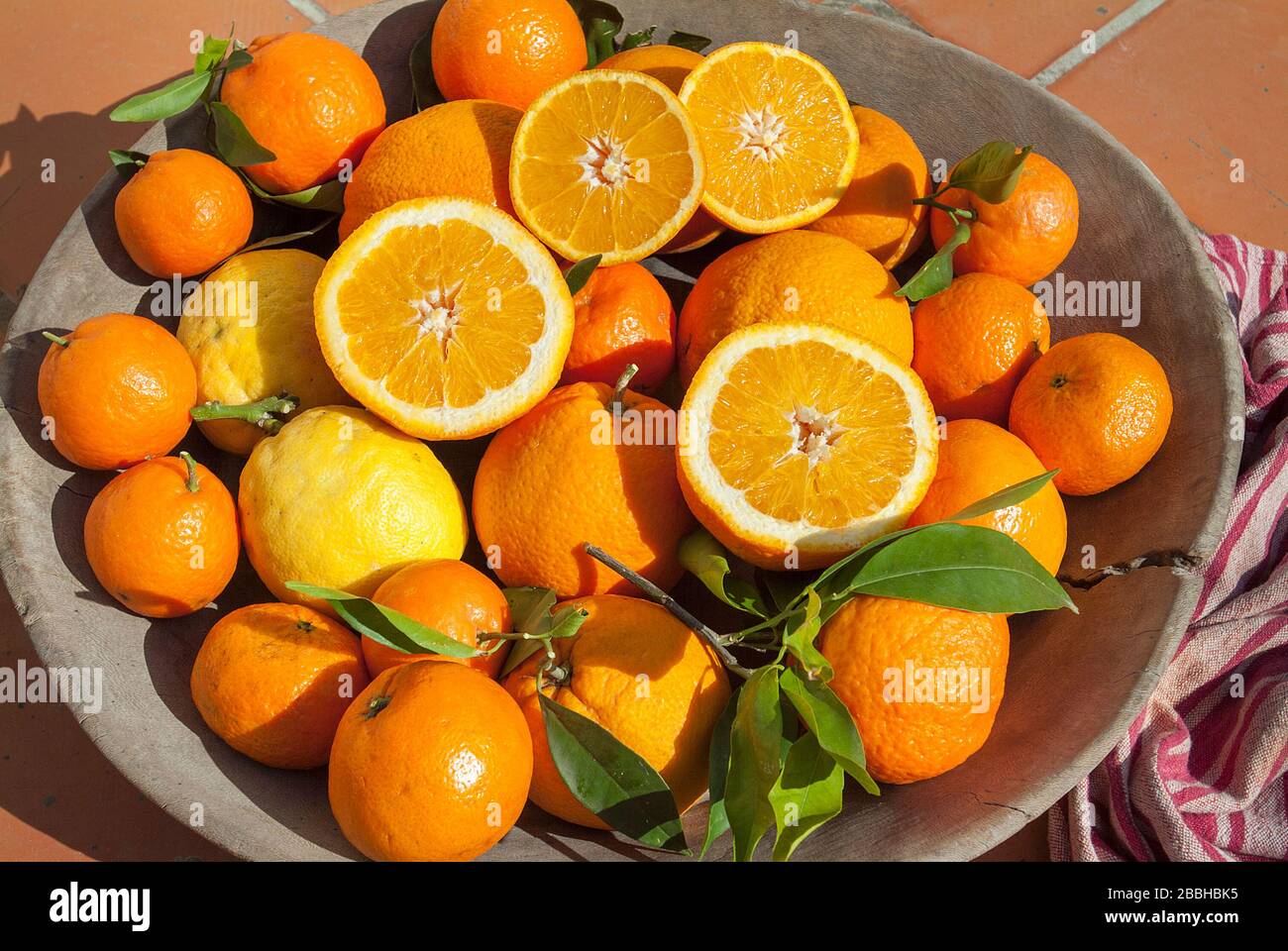 Orangen, Mallorca, Balearen, Spanien Stockfoto