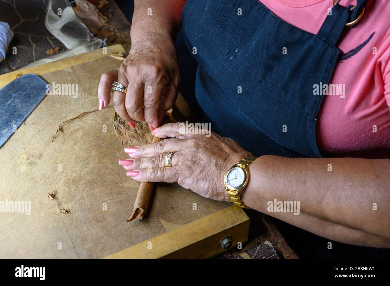 Zigarrenrollen, Zigarrenladen Partagas, Havanna, Kuba Stockfoto