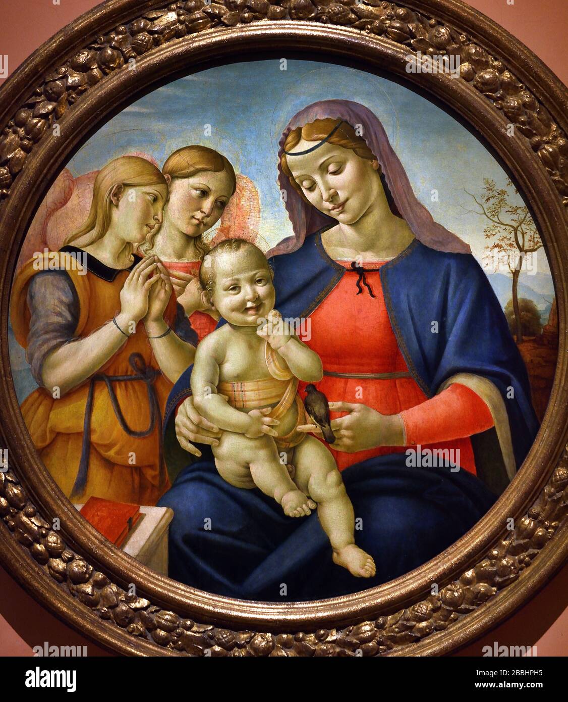 Die Jungfrau und das Kind mit den Engeln, 1500-1510 PIERO DI COSIMO FLORENZ 1461-1521 Italienisch, Italien, Stockfoto