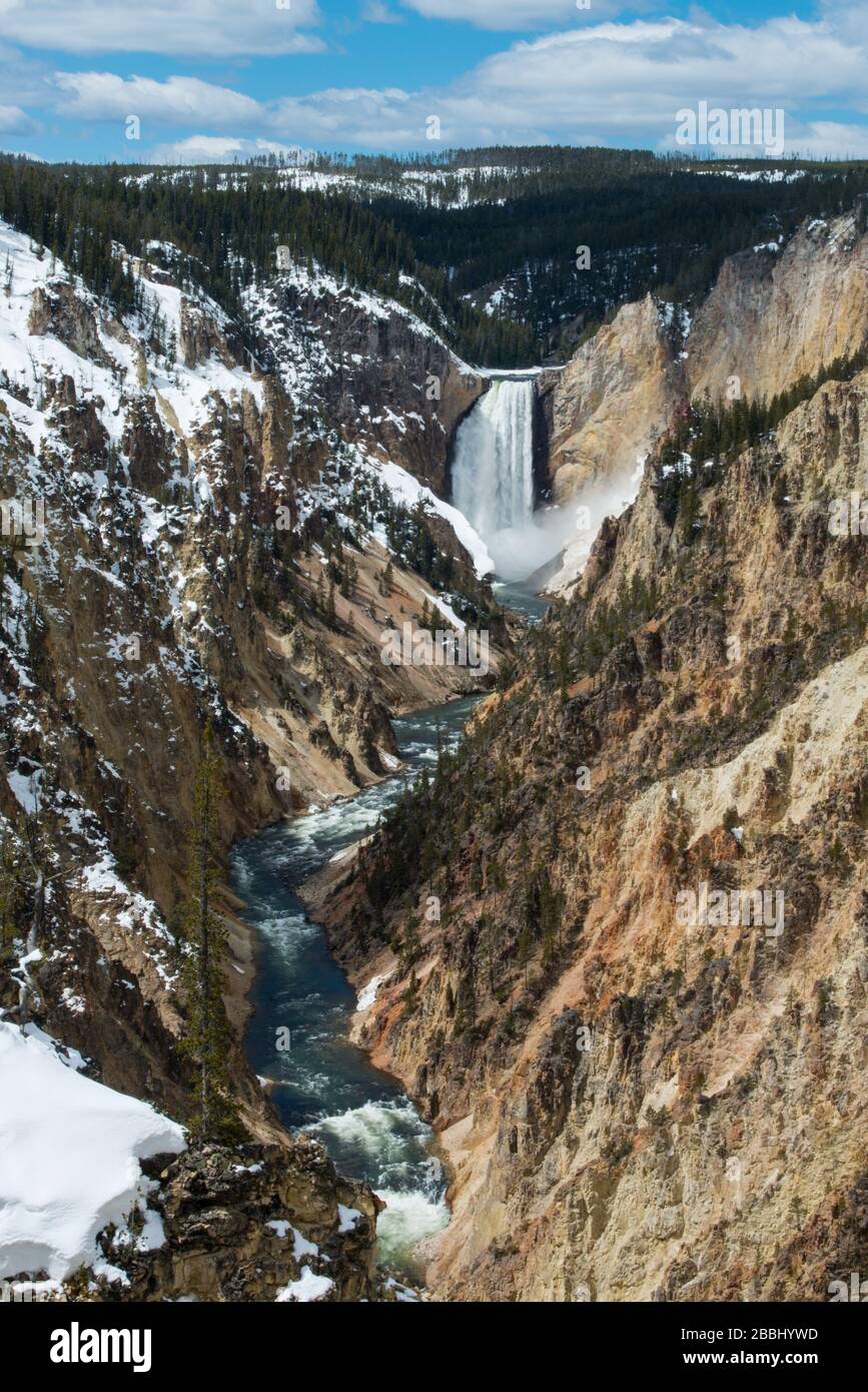 Die tieferen Fälle des Yellowstone River in der Gegend werden als "Grand Canyon of Yellowstone" im Yellowstone National Park bezeichnet Stockfoto