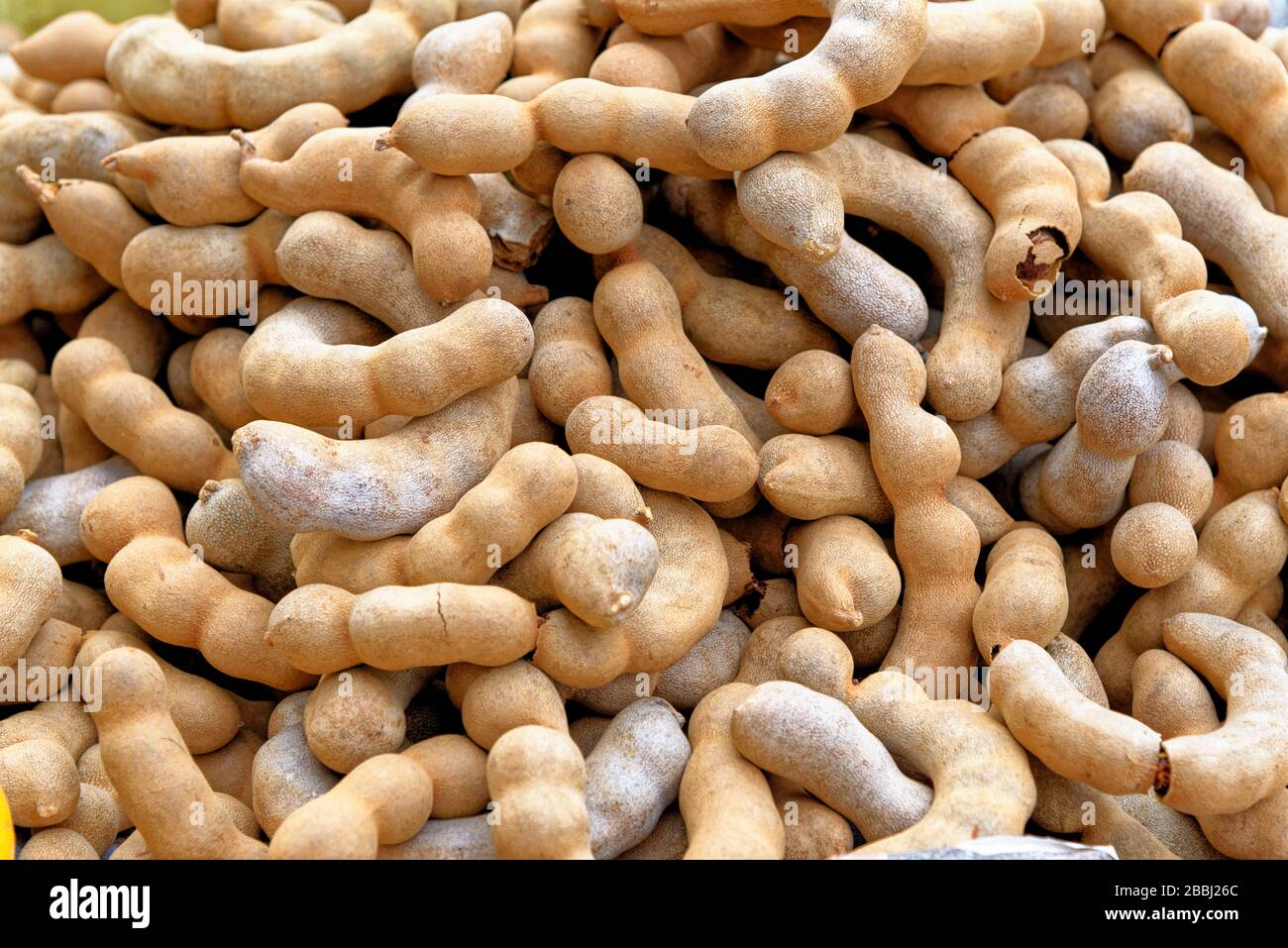 Haufen reif Tamarind Früchte, tropische leckere gesunde Früchte in Thailand Stockfoto