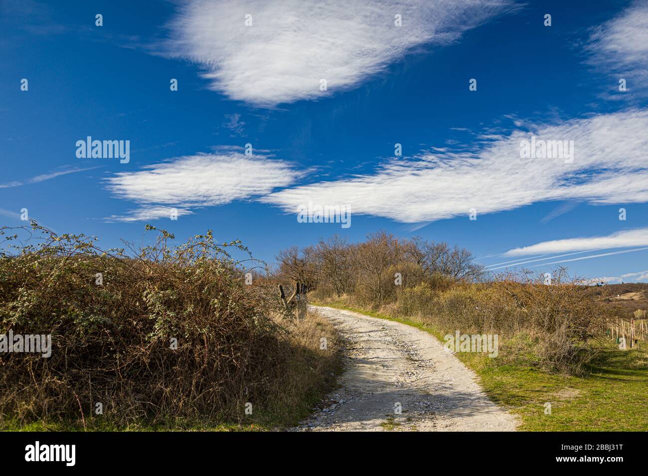 Landschaft unter den Bergen der kleinen Karpaten in der Nähe von Bratislava, Slowakei Stockfoto