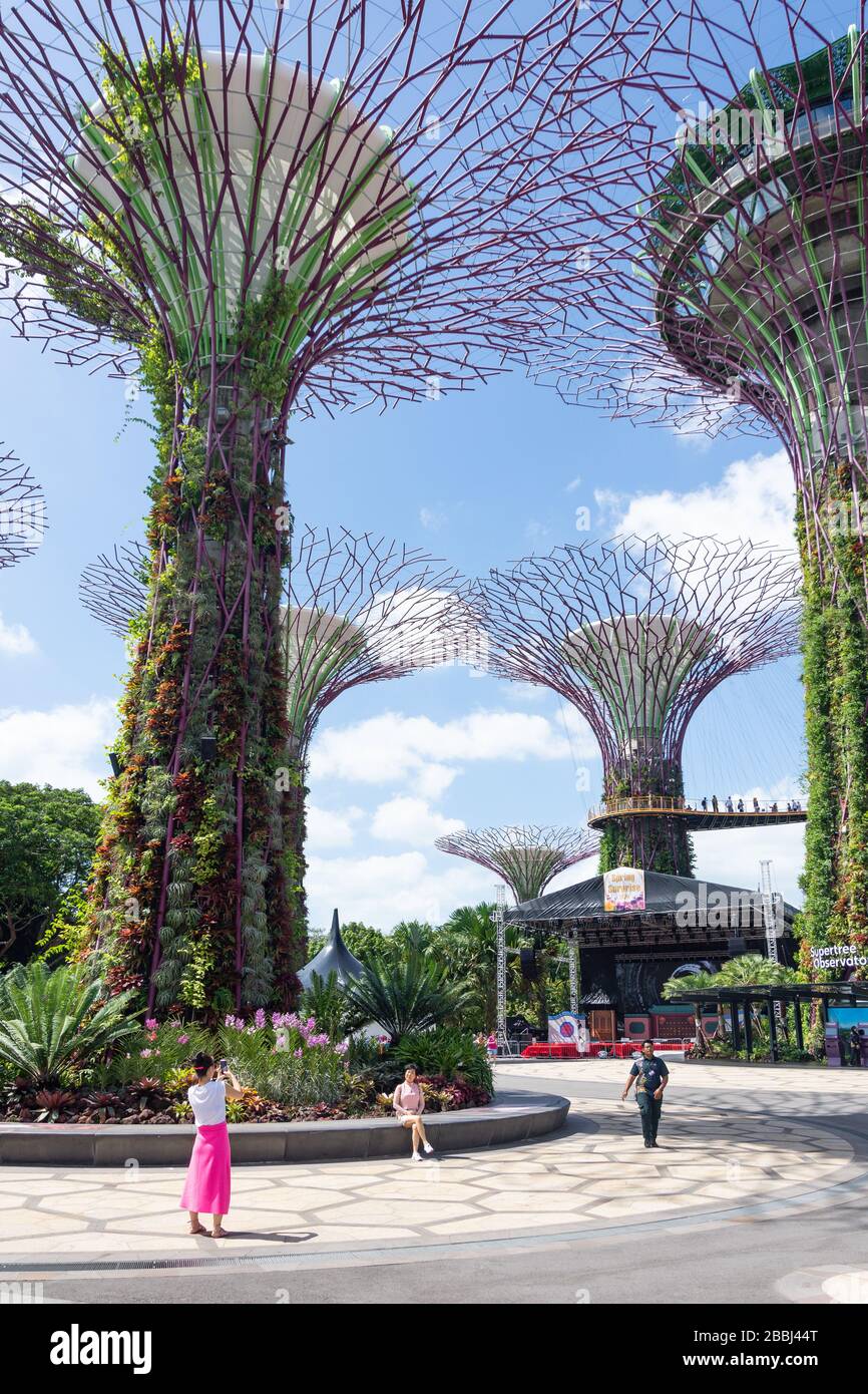 Supertree Grove und Skyway, Gardens by the Bay, Downtown Core, Marina South, Singapur Stockfoto