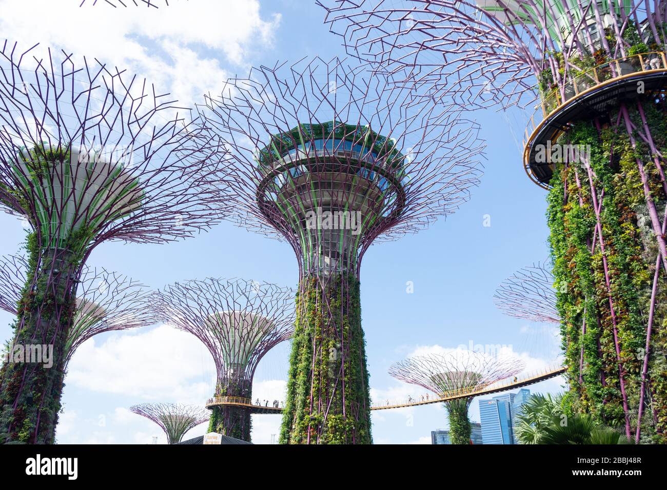 Skyway in Supertree Grove, Gardens by the Bay, Downtown Core, Marina South, Singapur Stockfoto