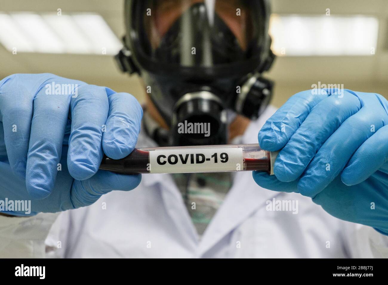 Prüfung auf COVID-19. Eine Blutröhre zum Nachweis von Coronavirus SARS-COV-2. Stockfoto