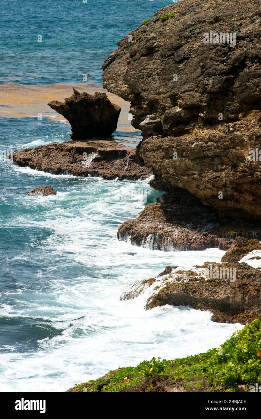 Küstenabschnitt des Grand Sentier Wanderung um Caravelle Halbinsel, Caravelle, Martinique, kleine Antillen, Französisch Westindien, Karibik Stockfoto