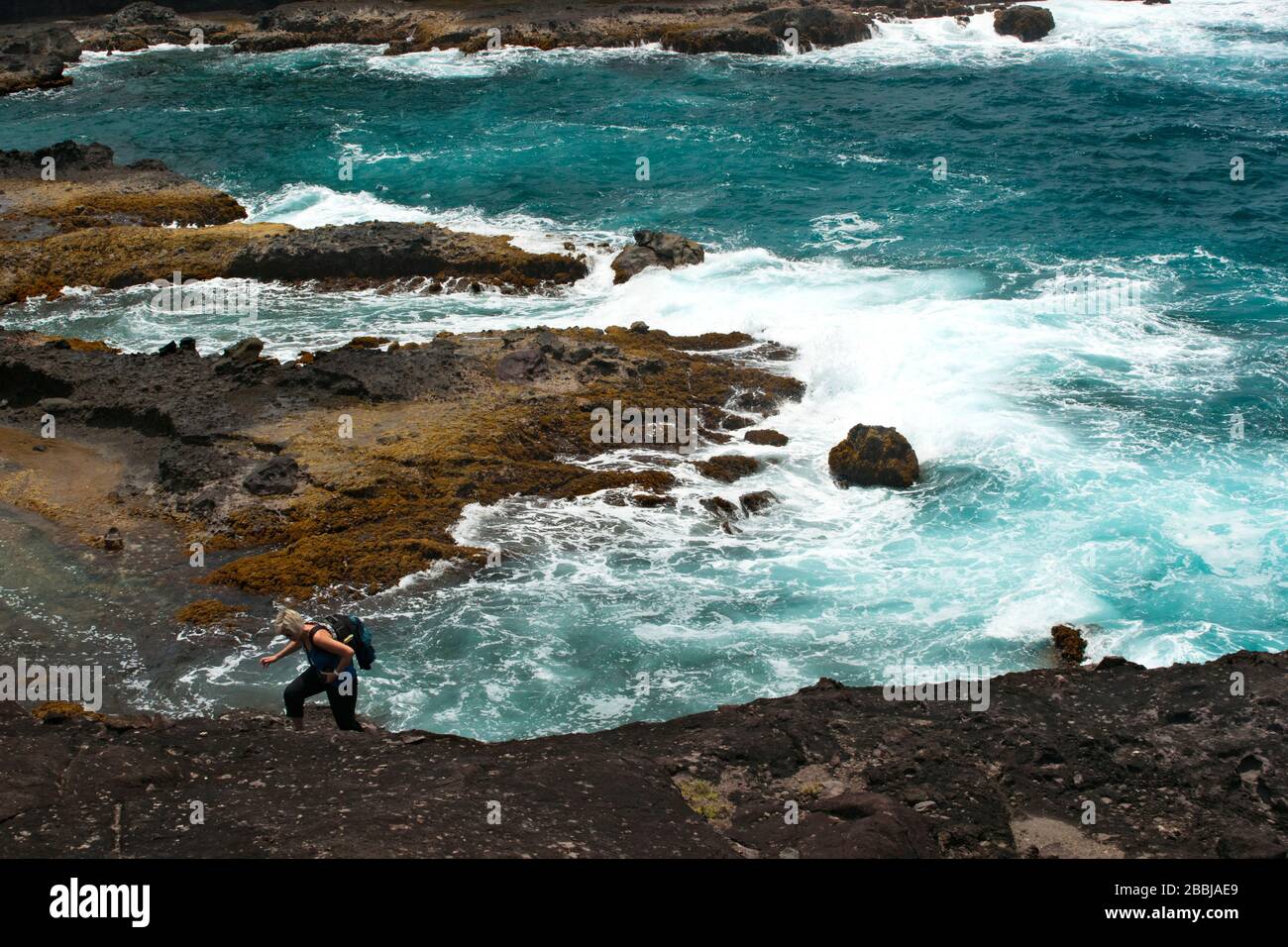 Küstenabschnitt des Grand Sentier Wanderung um Caravelle Halbinsel, Caravelle, Martinique, kleine Antillen, Französisch Westindien, Karibik, Zentral A Stockfoto