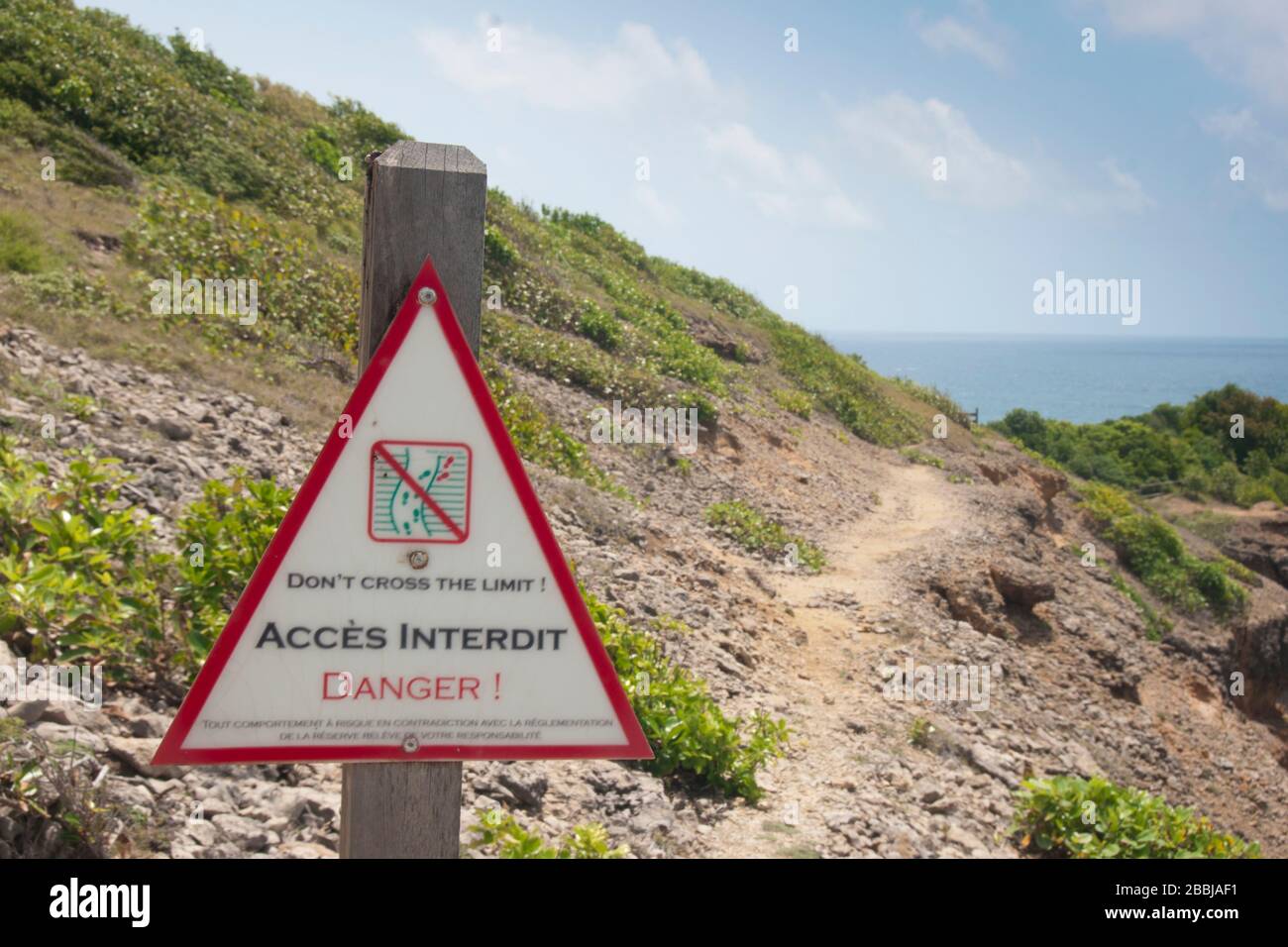 Gefahrensilber auf Grand Sentier Wanderung rund um Caravelle Halbinsel, Caravelle, Martinique, kleine Antillen, Französisch Westindien, Karibik, Mittelamerika Stockfoto