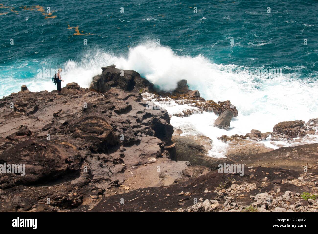 Küstenabschnitt des Grand Sentier Wanderung um Caravelle Halbinsel, Caravelle, Martinique, kleine Antillen, Französisch Westindien, Karibik, Zentral A Stockfoto