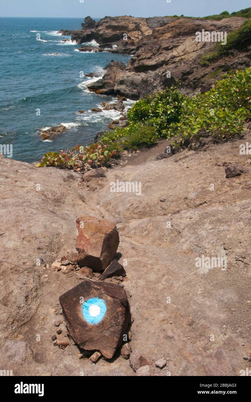 Wandermarkierung auf der 4-stündigen Grand Sentier Wanderung um die Halbinsel Caravelle, Caravelle, Martinique, Kleinantillen, Französisch-Westindien, Karibik Stockfoto