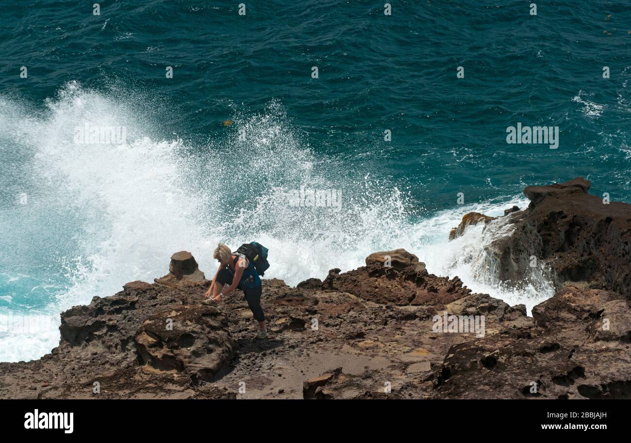 Küstenabschnitt des Grand Sentier Wanderung um Caravelle Halbinsel, Caravelle, Martinique, kleine Antillen, Französisch Westindien, Karibik, Zentral A Stockfoto