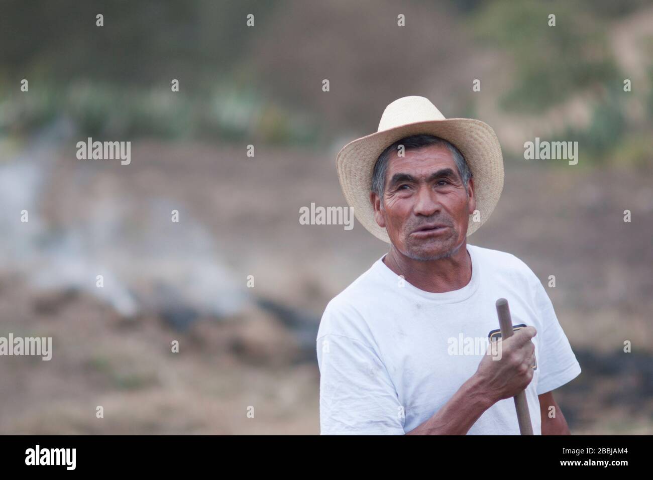 A ist Bauer brennende Felder, um Land für die Pflanzung von Kartoffeln vorzubereiten, Benito Juarez, Sierra Norte, Oaxaca, Mexiko Stockfoto