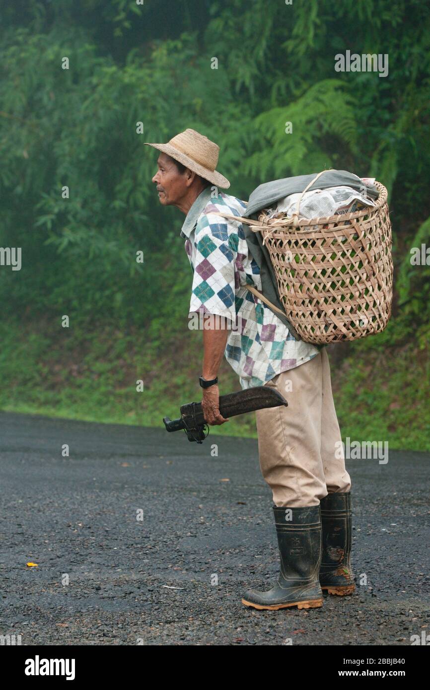 Panamaischer Bauer läuft auf der Straße mit Korb auf dem Rücken und Messer in der Hand, Provinz Cocle, Wolkenwald von Zentral-Panama, Mittelamerika Stockfoto