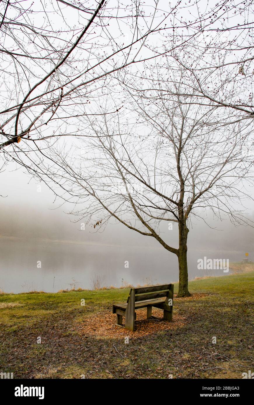 Nebliger Tag auf einer Bank am See Stockfoto
