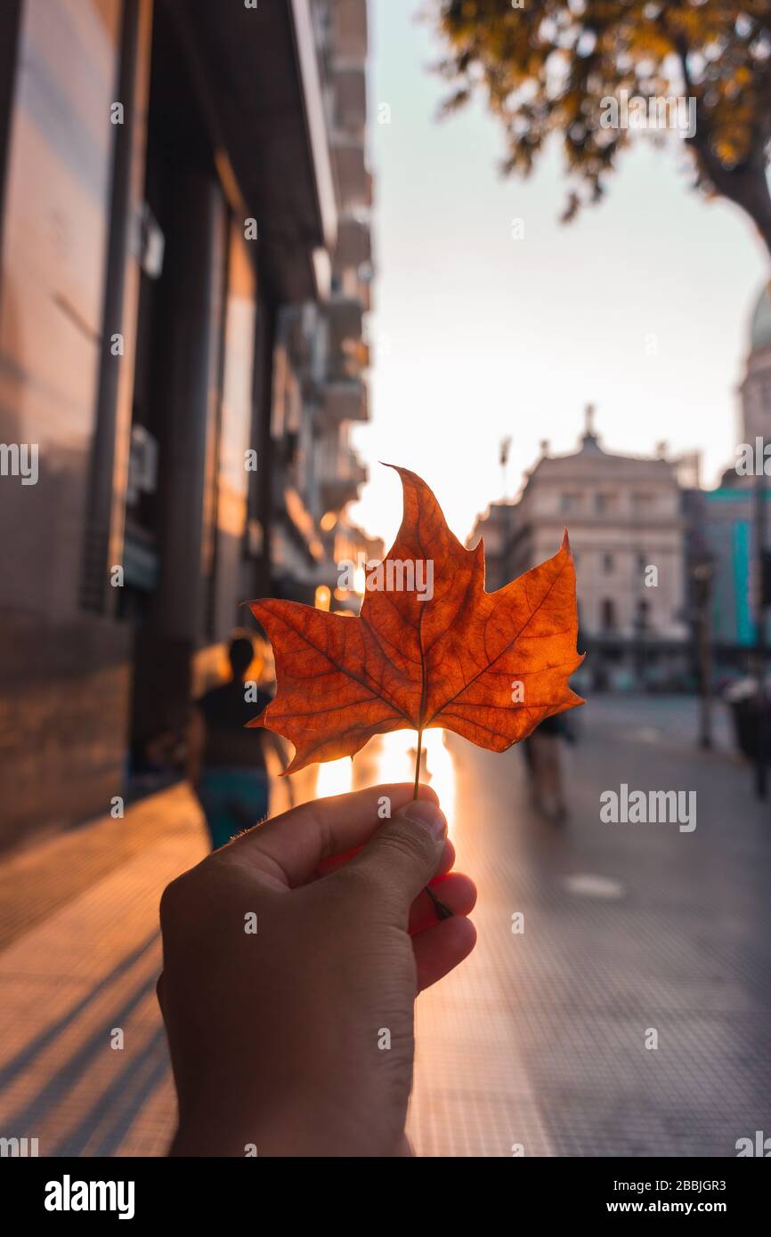 Herbst Sonnenuntergang in der Stadt Stockfoto