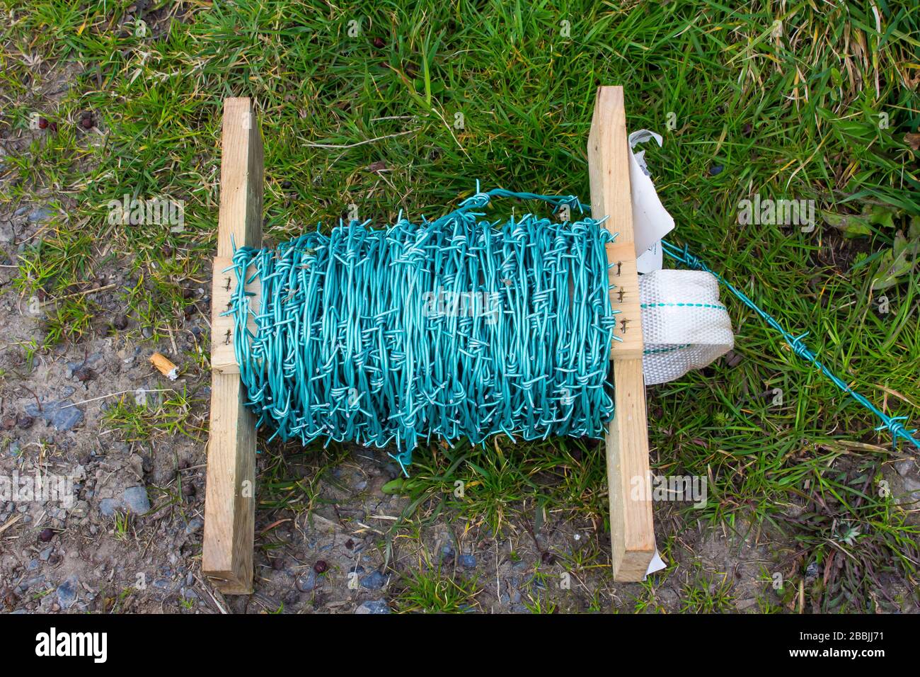 Stacheldraht wird als Sicherheitsumzäunung für die Kontrolle von Nutzvieh in einer Bauernhof-Umgebung verwendet. Stockfoto