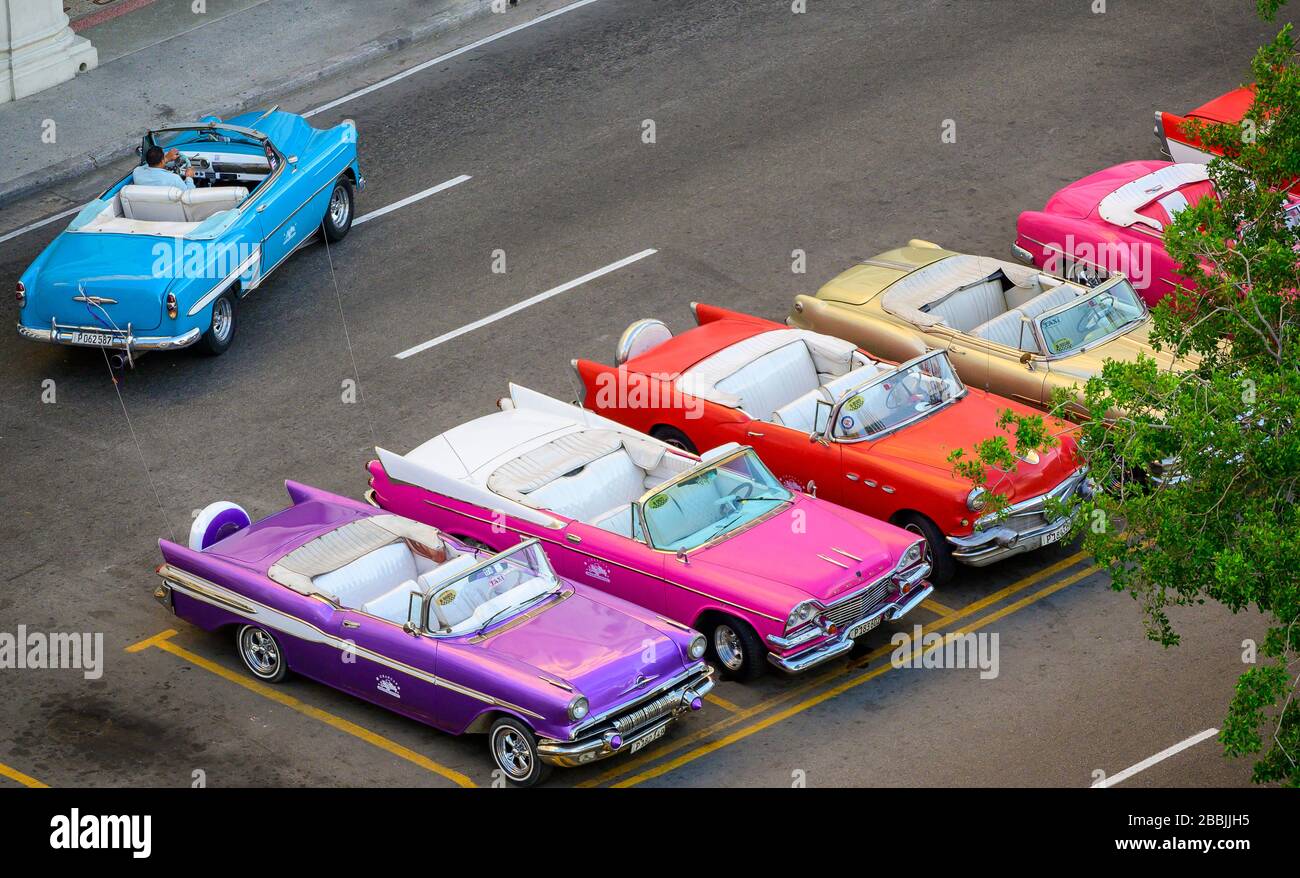 Klassische amerikanische Fünfziger-Autos, Havanna, Kuba Stockfoto