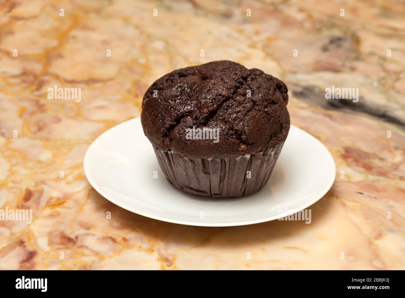 Schokoladenmuffin von James D Coppinger/Dembinsky Photo Assoc Stockfoto