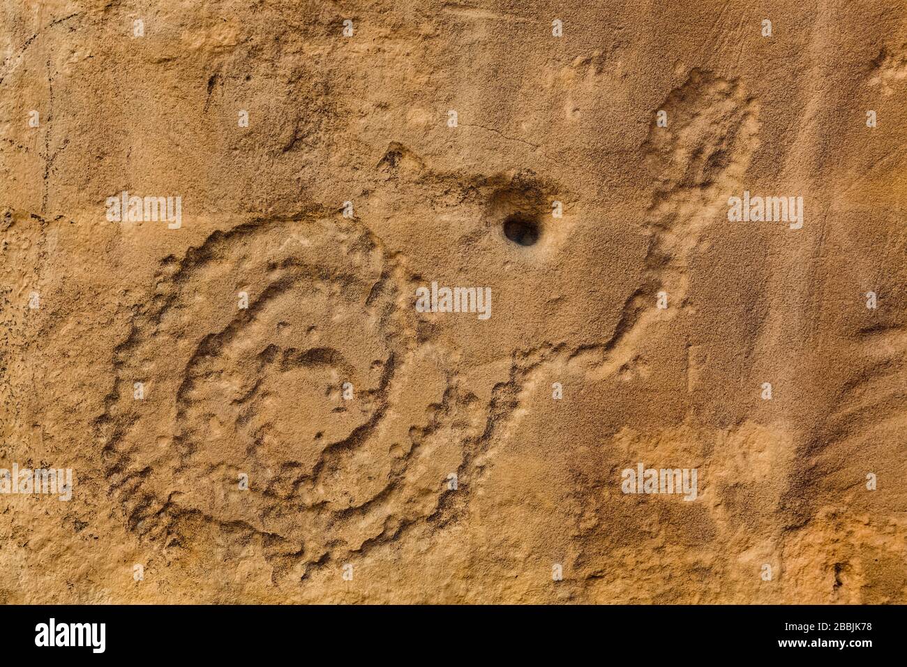 Spiralförmige, schlangenähnliche Petroglyphe, die von den angestammten Pueblo-Völkern entlang des Petroglyph Trail im Chaco-Kultur-Nationalpark, New Mexico, USA, gehauen wurden Stockfoto
