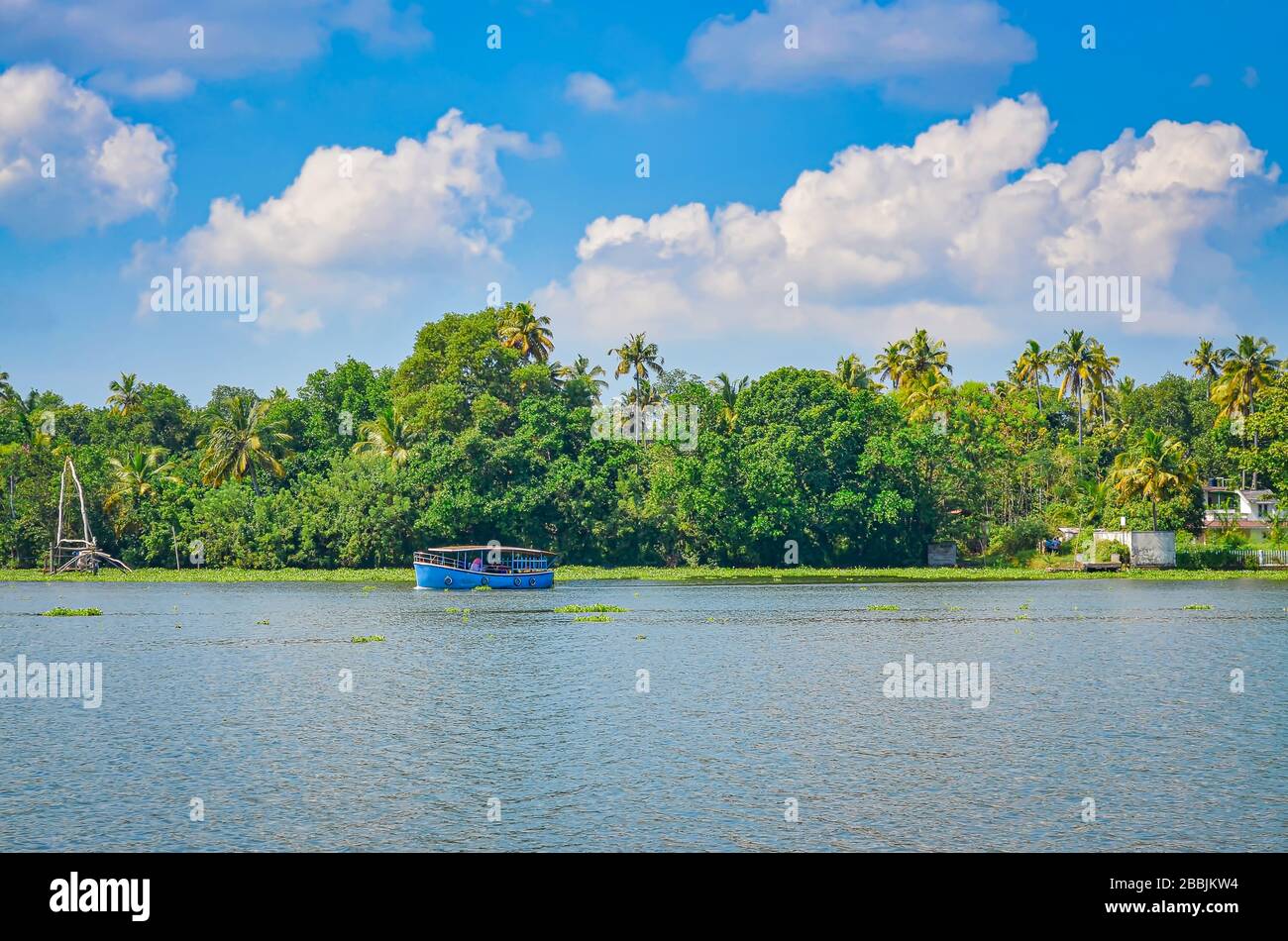 Ein kleines blaues Passagierboot in den Rückwässern von Kerala, Indien mit dichter grüner Vegetation und einem klaren blauen Himmel im Hintergrund. Stockfoto