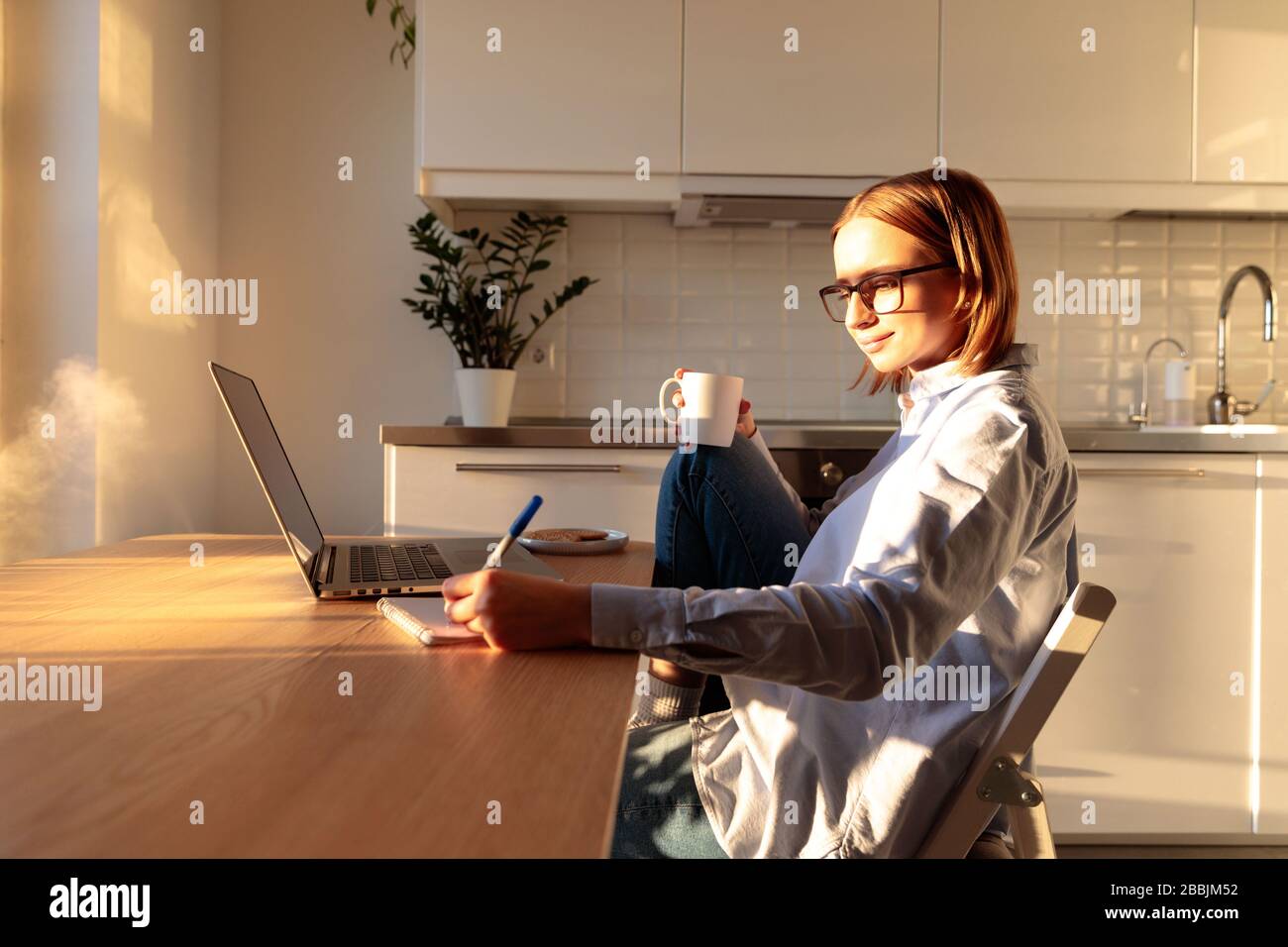 Frau Freiberuflerin in Brille mit Laptop und macht Notizen in einem Notizbuch, arbeitet während der Quarantäne wegen Coronavirus von zu Hause aus, hält Kaffee/Tee. Koz Stockfoto