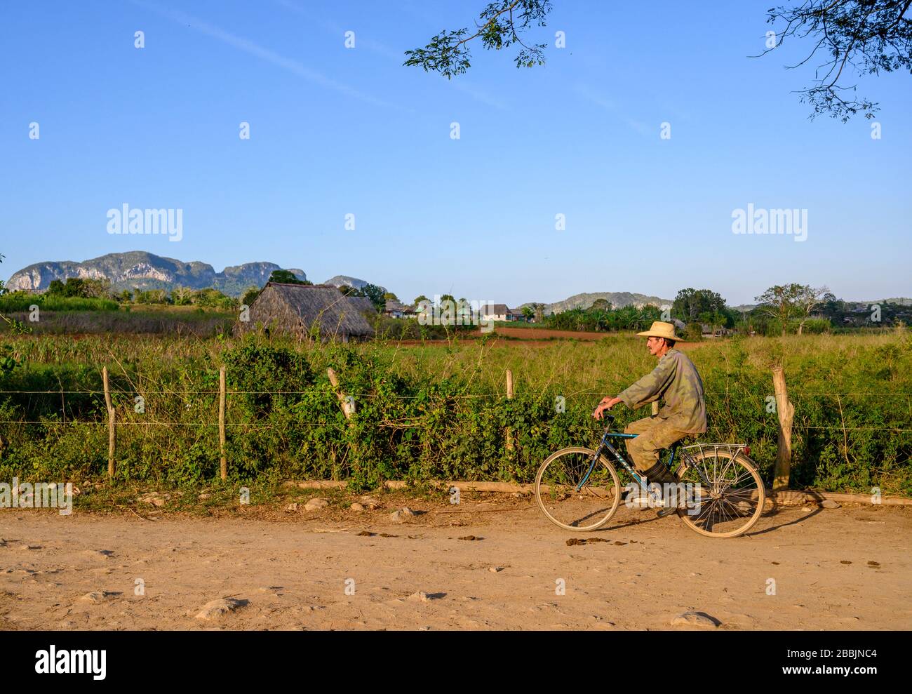 Bauer auf dem Fahrrad, Vinales, Provinz Pinar del Rio, Kuba Stockfoto
