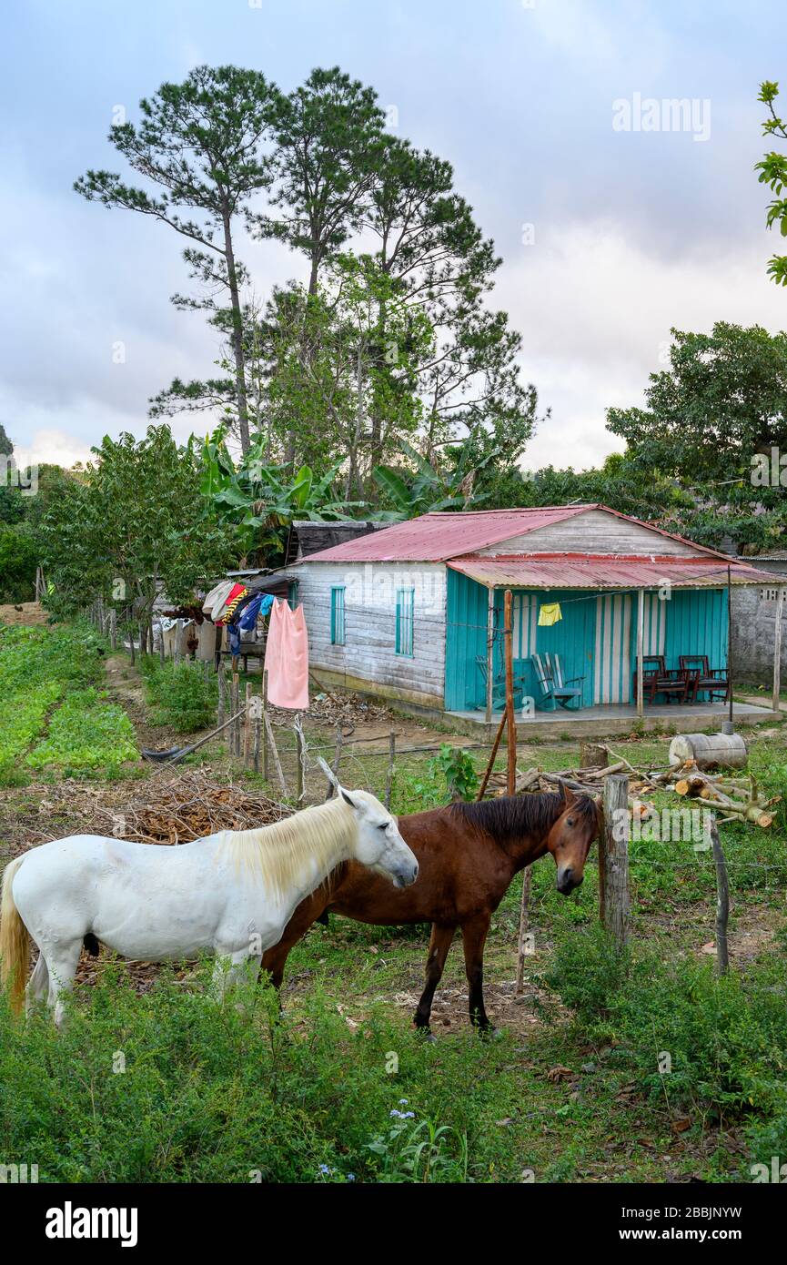 Vinales, Provinz Pinar del Rio, Kuba Stockfoto