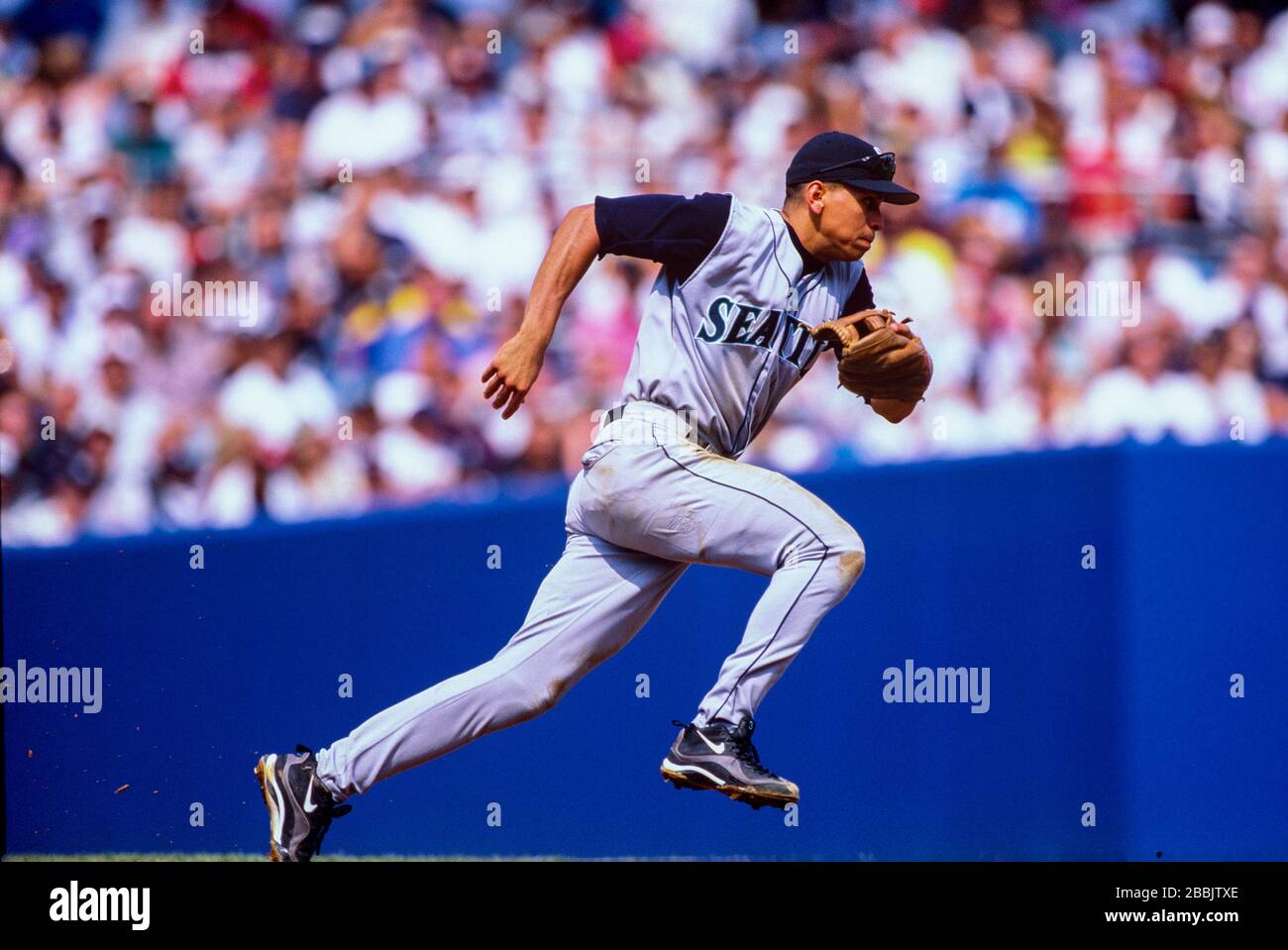 Alex Rodriguez von den Seattle Mariners Stockfoto