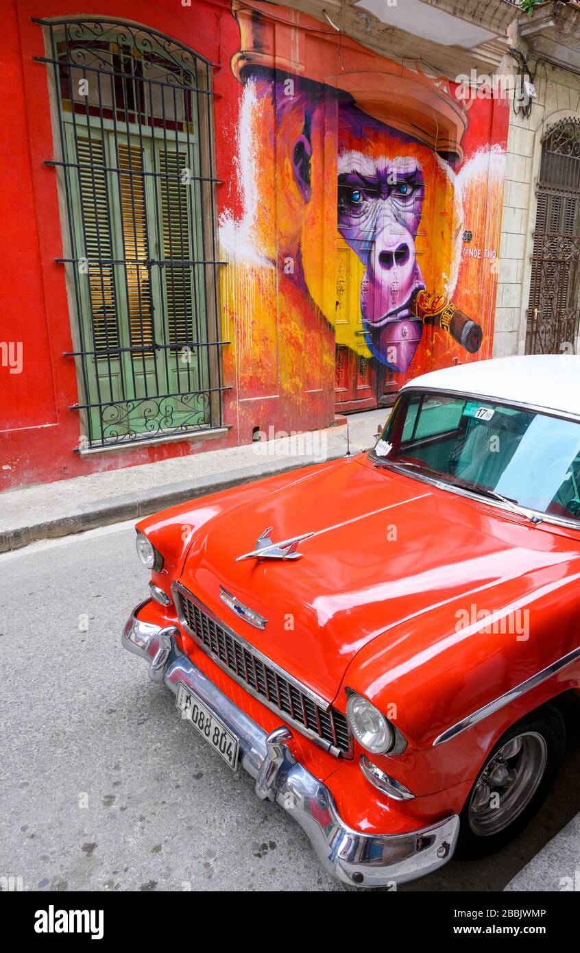 Aufwendiges Wandgemälde von Noe Two von Zigarrenrauchgorilla, mit klassischem Chevrolet, Havanna Vieja, Kuba Stockfoto