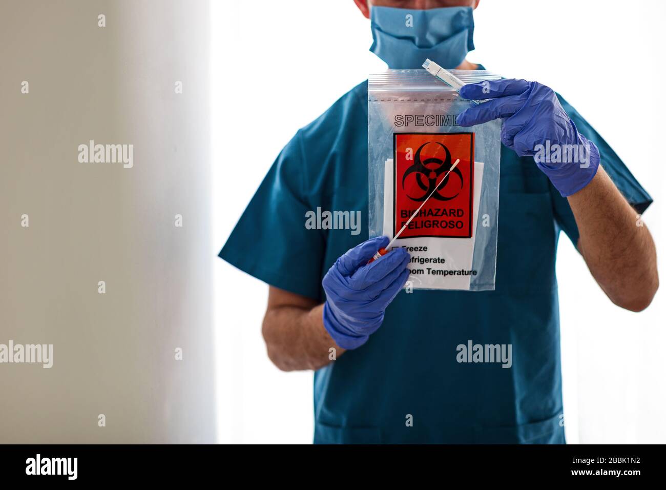 Coronavirus (COVID-19) Nasopharyngealer Tupfer in den Händen Stockfoto