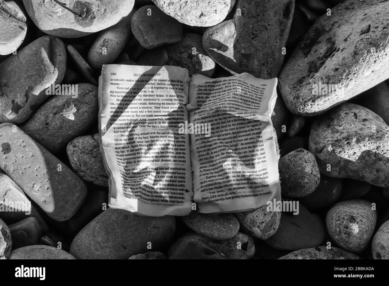 Granitwissenschaft - altes Buch auf Steingrund Stockfoto