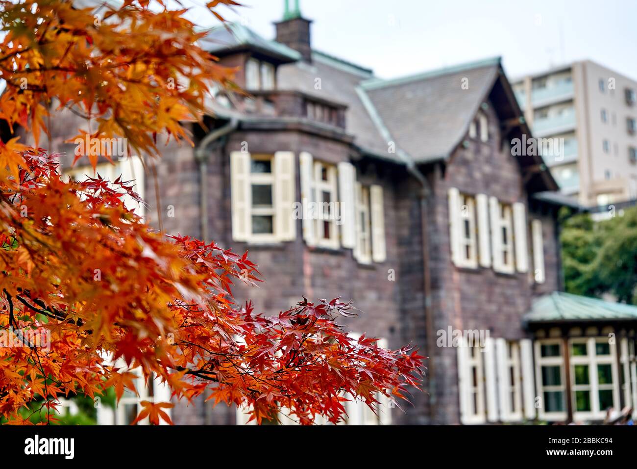 Ahorn mit roten Blättern und schönem Altbau im Hintergrund Stockfoto