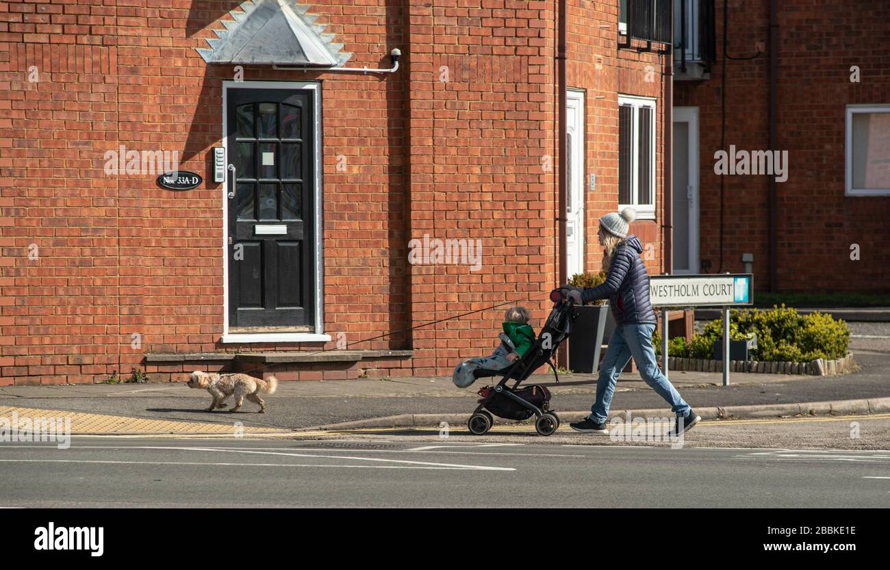 Eine Frau macht sich während des britischen Lockdowns zur Bekämpfung von Coronavirus täglich auf die Bewegung, indem sie ihren Hund spaziert, während sie ein Kind in einen Buggy schiebt. Tägliche Übung. Stockfoto