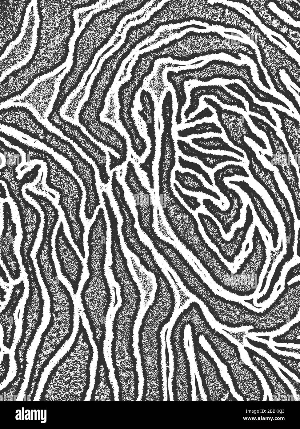 Bedrängnis Grunge Vektor-Textur des Gewebes mit Zebraornament. Schwarz-Weiß-Hintergrund. EPS 8-Abbildung Stock Vektor