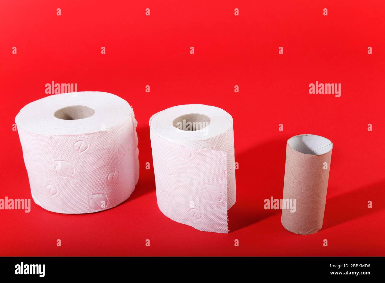 Knappes toilettenpapier, symbolischer Bildhodenkauf wegen Coronavirus, Deutschland Stockfoto