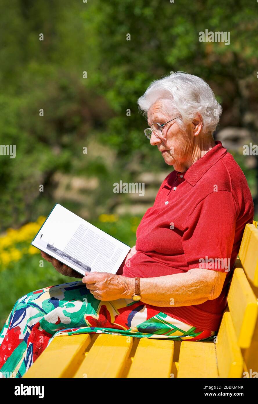 Seniorensitzen auf einer Gartenbank Lesen eines Buches, Österreich Stockfoto