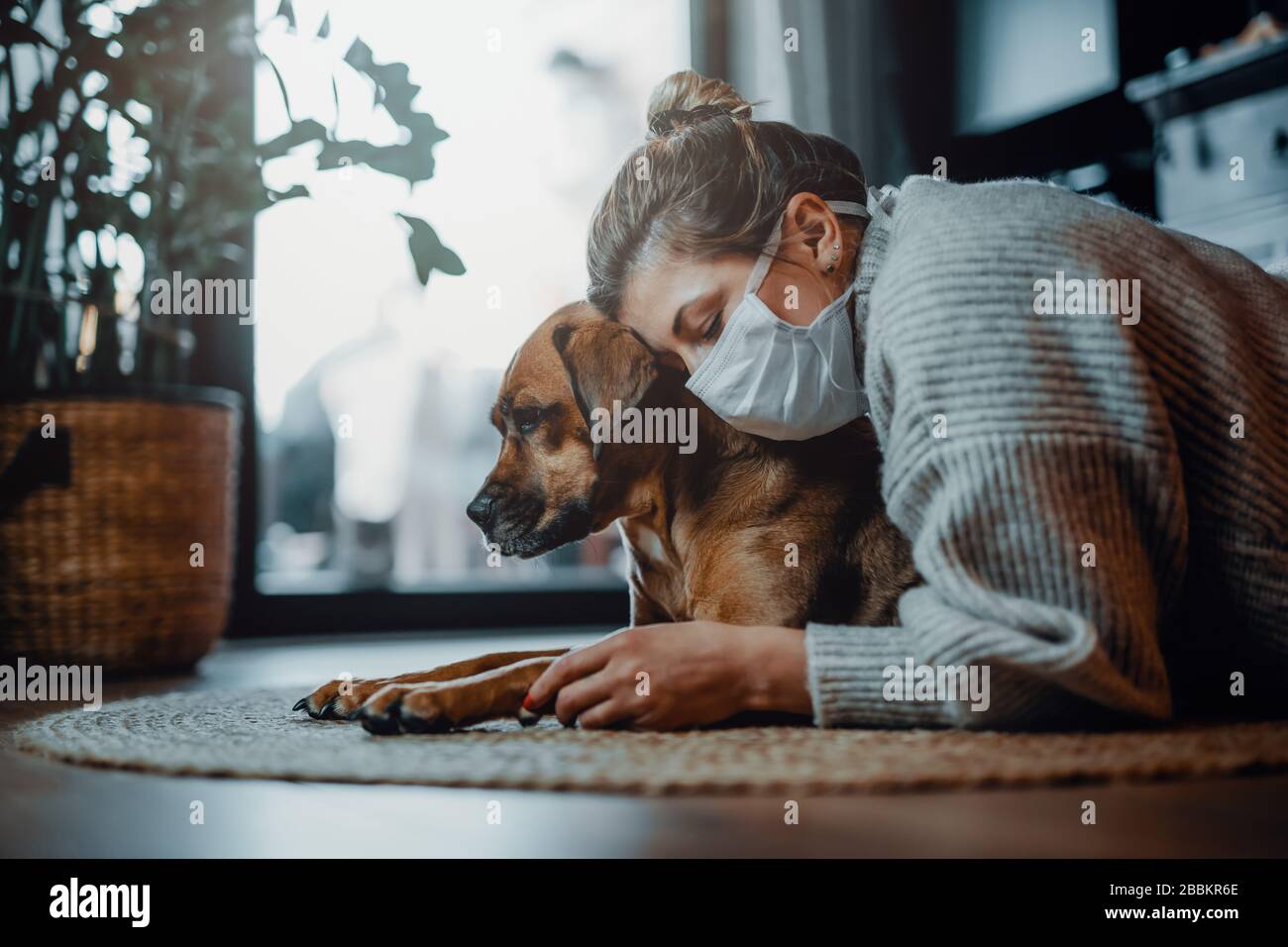 Frau, die eine schützende Gesichtsmaske trägt, spielt mit ihrem Hund zu Hause wegen des Corona-Virus pandemic Covid-19 Stockfoto