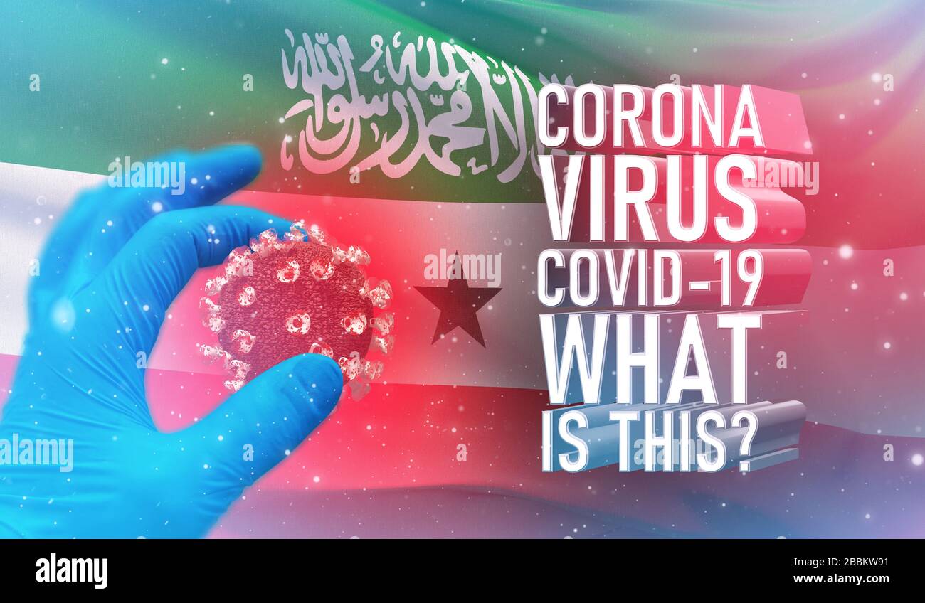 Coronavirus COVID-19, häufig gestellte Frage - was ist es Text, medizinisches Konzept mit Flagge Somalilands. Pandemische 3D-Darstellung. Stockfoto