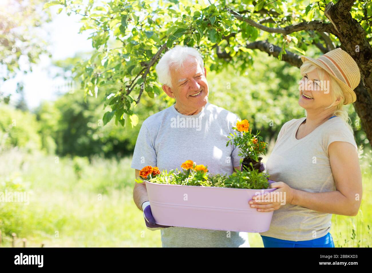 Lächelnd fröhliche Senioren Paar Gartenarbeit Stockfoto
