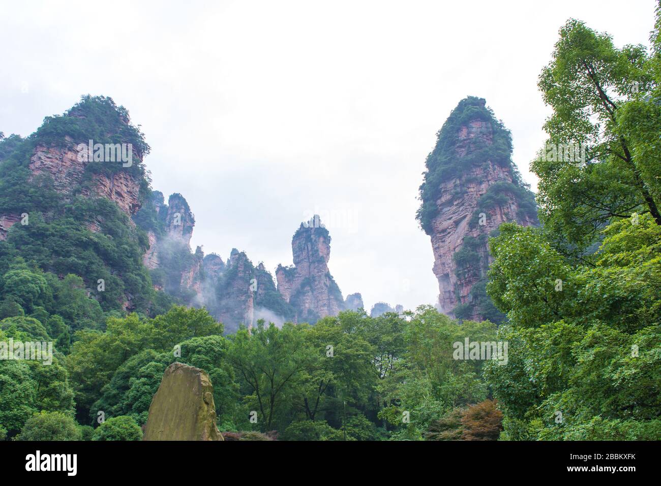 Wunderschöner Blick auf die natürliche Säule aus Quarzsandstein im Zhangjiajie National Forest Park im Wulingyuan Hunan China. Stockfoto