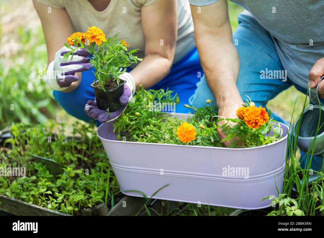 Lächelnd fröhliche Senioren Paar Gartenarbeit Stockfoto
