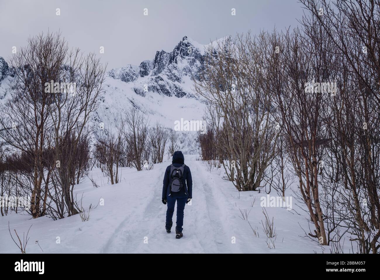 Alleinstehende weibliche Wanderin einer Winterlandschaft, Mefjordvaer, Senja, Norwegen Stockfoto